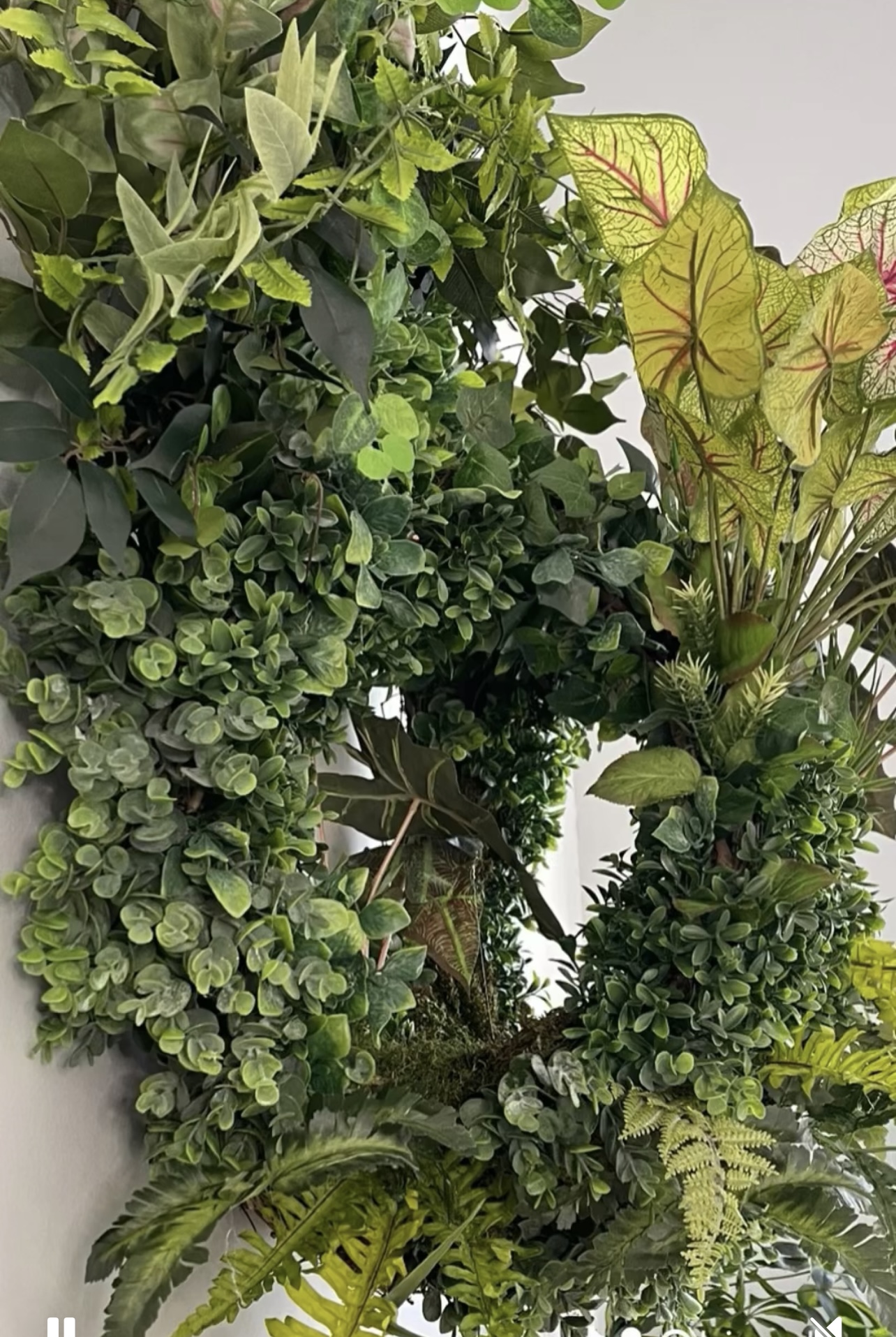 Caladium — side angle of wreath featuring yellow-green caladium leaves with pink veining.