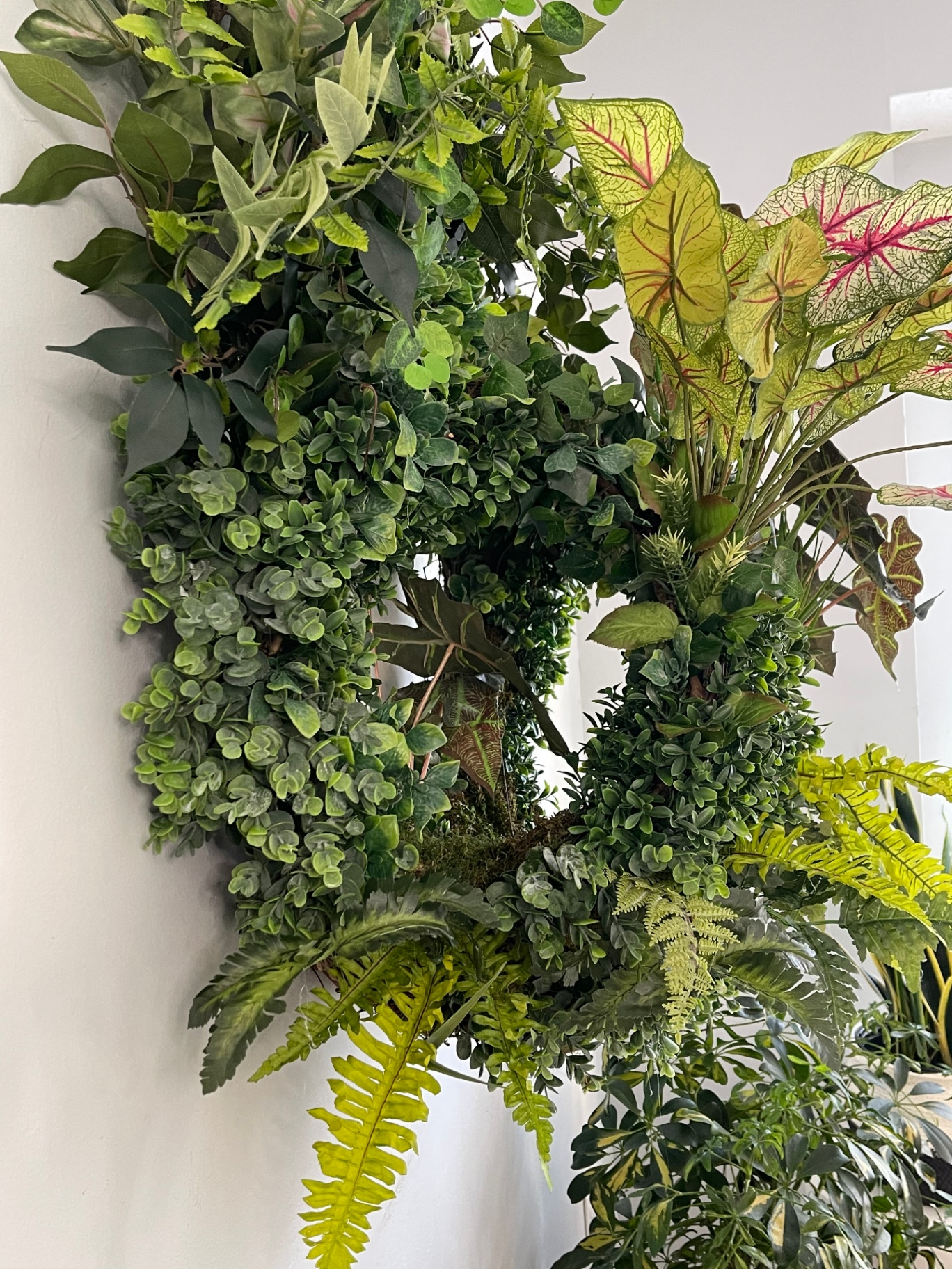Biophilic design Biosphere Dome Wreath installation in a room with surrounding plants.